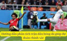 hướng dẫn sử dụng gà tiên tri dự đoán bóng đá