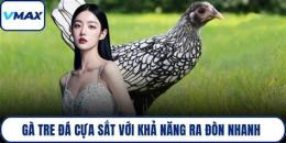 hướng dẫn sử dụng ga tre da cua sat 2020