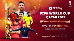 hướng dẫn sử dụng gà vàng tivi bóng đá world cup