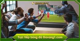 hướng dẫn sử dụng gà vàng tv trực tiếp bóng đá nữ hôm nay