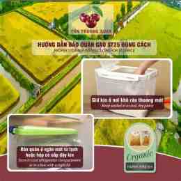hướng dẫn sử dụng gạo st25 hạt dài trắng trong