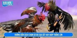 hướng dẫn sử dụng gia ga da cua sat