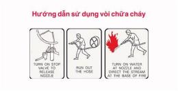 hướng dẫn sử dụng huấn hoa hồng drama gần đây 2026