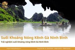 hướng dẫn sử dụng kênh gà ninh bình đã mở cửa chưa