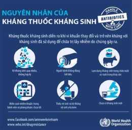 hướng dẫn sử dụng kiep da ga khang vinh toan