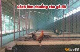 hướng dẫn sử dụng làm chuồng chạy cho gà đá