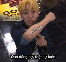 hướng dẫn sử dụng meme meme nổi da gà