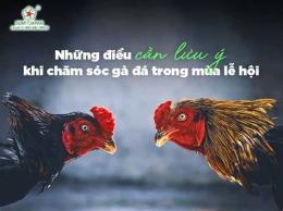 hướng dẫn sử dụng mua ban ga da long an