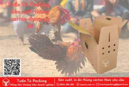 hướng dẫn sử dụng mua gà đá giá rẻ