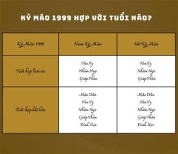 hướng dẫn sử dụng ngày kỷ mão đá gà gì