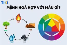hướng dẫn sử dụng ngay mai da ga mau gi hop