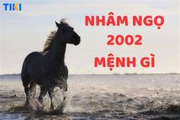 hướng dẫn sử dụng ngày nhâm ngọ đá gà gì
