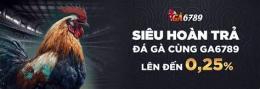 hướng dẫn sử dụng nhà cái đá gà uy tín noci88u.com