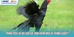 hướng dẫn sử dụng nhan biet loi da cua ga choi