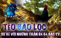 hướng dẫn sử dụng những trận đá gà bạc tỷ