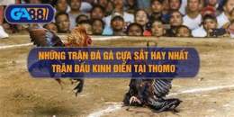 hướng dẫn sử dụng nhung tran ga da cua sat hay nhat