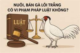 hướng dẫn sử dụng nuôi gà đã có phạm luật