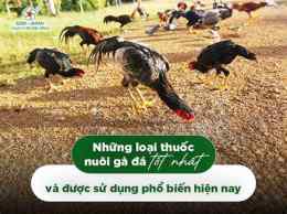 hướng dẫn sử dụng nuôi ga đá