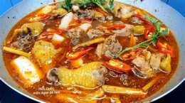 hướng dẫn sử dụng ô lâm xung đá với gà trung quốc