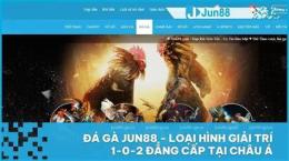 hướng dẫn sử dụng sản phẩm đá gà tại jun88