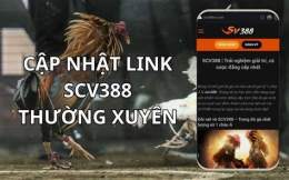 hướng dẫn sử dụng scv388 da ga truc tiep