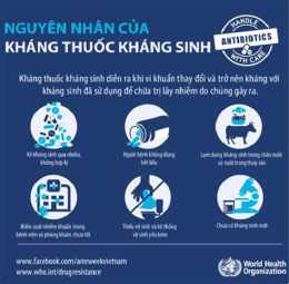 hướng dẫn sử dụng sinh cấp 2 giờ đã địt nhau như gà rồi