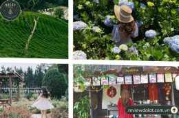 hướng dẫn sử dụng sống ảo ga đà lạt