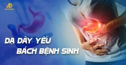 hướng dẫn sử dụng stress gây đau dạ dày