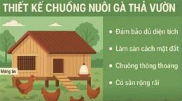 hướng dẫn sử dụng thiet ke chuong nuoi ga da
