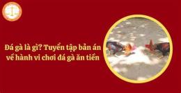 hướng dẫn sử dụng thơ về đá gà
