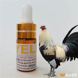 hướng dẫn sử dụng thuốc nhỏ gà đá của mỹ