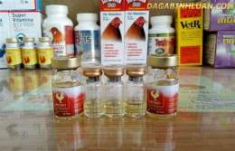 hướng dẫn sử dụng thuoc nuoi ga da cua sat