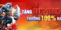 hướng dẫn sử dụng tiếp đá gà thomo c2