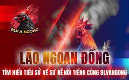 hướng dẫn sử dụng trận đá gà bảo sting
