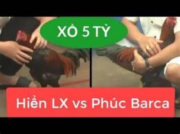 hướng dẫn sử dụng trận gà đá xổ 5 tỷ