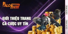 hướng dẫn sử dụng trang đá gà uy tín https:7789bet.top