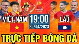 hướng dẫn sử dụng trực tiếp bóng đá việt nam gà vàng