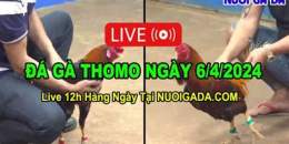 hướng dẫn sử dụng trực tiếp đá gà cpc3 6/7