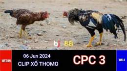 hướng dẫn sử dụng trực tiếp đá gà pc3