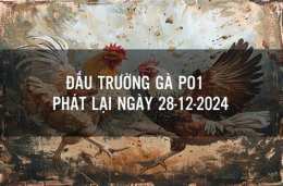 hướng dẫn sử dụng trực tiếp đá gà po1