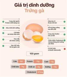 hướng dẫn sử dụng trứng gà bỏ ngăn đá