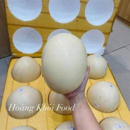 hướng dẫn sử dụng trứng gà đà điểu