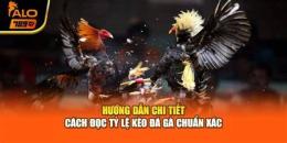 hướng dẫn sử dụng tỷ lệ cược đá gà