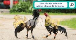 hướng dẫn sử dụng vay ga da cua