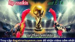 hướng dẫn sử dụng video đá gà bịp roykin