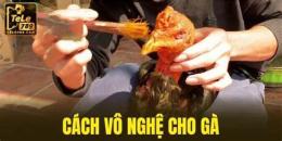 hướng dẫn sử dụng vô nghệ cho gà đá dụng quy trình