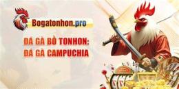 hướng dẫn sử dụng xem da ga bo tonhon