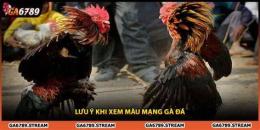 hướng dẫn sử dụng xem mang ga da theo ngay
