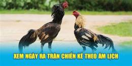 hướng dẫn sử dụng xem ngày đá gà chiến kê ra trận