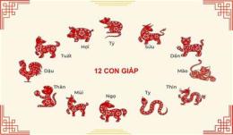hướng dẫn sử dụng xem ngày gà đá theo 12 con giáp
